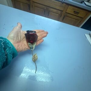 Elegant Red Rose Brooch